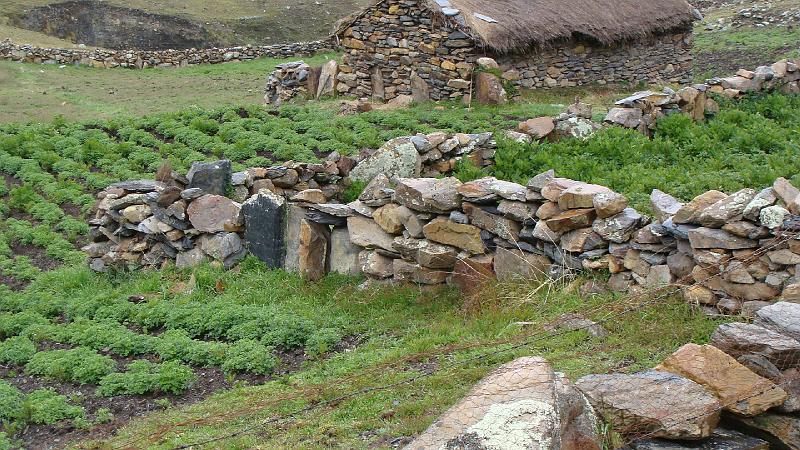 Illampu Trek Steves (26).JPG